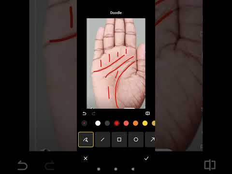 कड़ी मेहनत और फल #palmistry #shortsvideo #shorts