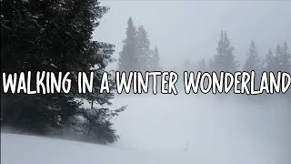 Amy Grant - Winter Wonderland (Lyrics)