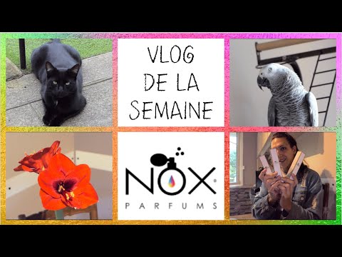 💐BLACK FRIDAY NOX PARFUMS + MA CÔTE SE FAIS LA MALLE !!