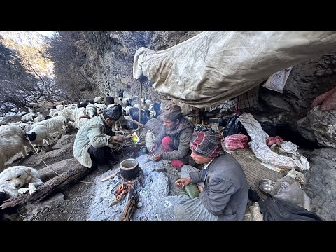 Best Life in The Nepali Himalayan Village During The Winter । Documentary Video sheep shepherd