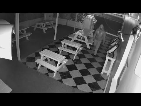 Police search for man who threw dumbbell through window of historic Tampa ice cream shop