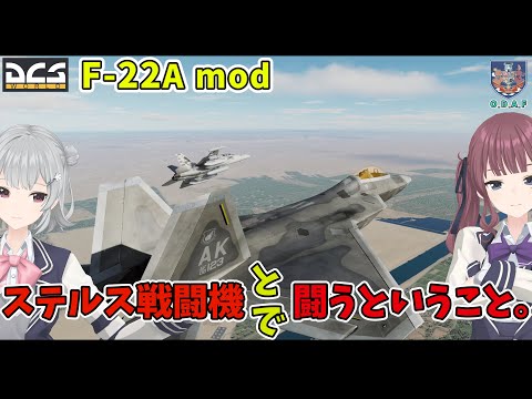 ステルス機で(と)戦うと、こうなる。多分。