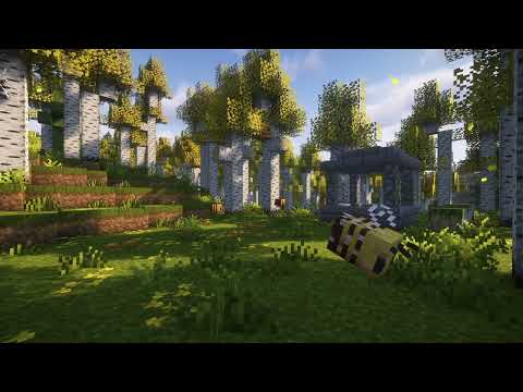 Enchanted Birch Grove | Minecraft Music & Ambience