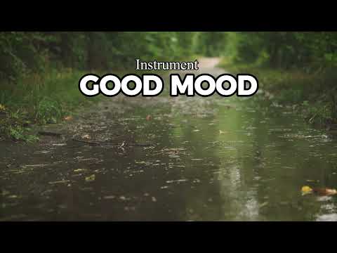 rainy atmosphere in the morning | Instrument