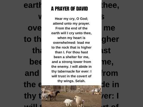 Hear My Cry Oh Lord #prayer #dailyprayer #morningprayer #shorts