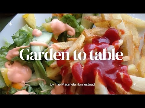 Quick meal from our homestead garden | homesteading in South Africa is fun