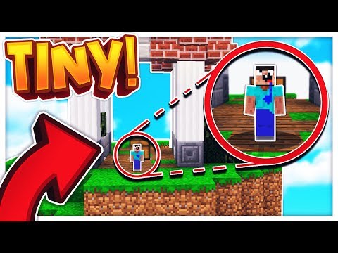 WORLD'S TINIEST SKYWARS PLAYER! (MINECRAFT SKYWARS SHORTS #82)