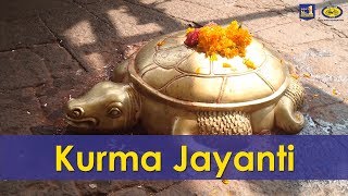 Kurma Jayanti - Cycle Pure Agarbathies