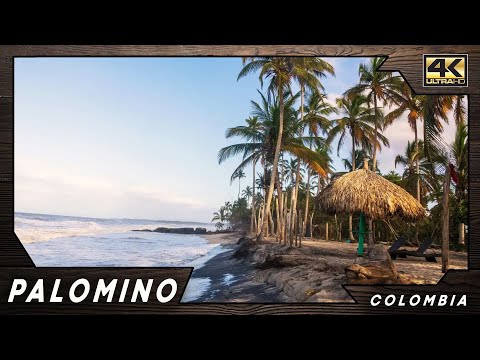 Palomino ● Colombia 🇨🇴 【4K】 Aerial Cinematic Drone [2024]