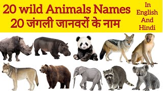 20 Wild Animals Names With Pictures! जंगली जानवरों के नाम