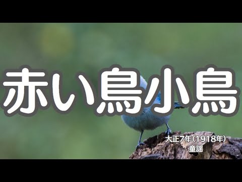 赤い鳥小鳥　童謡　懐かしい歌