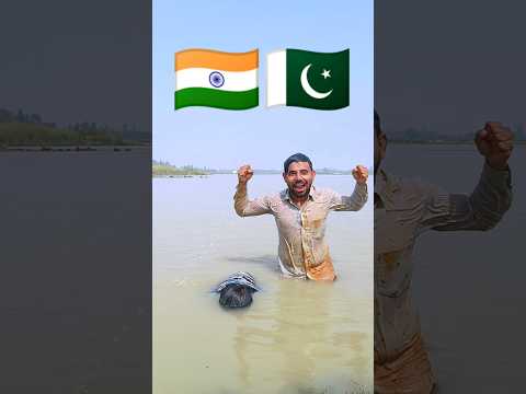 Oh desh mere . song desh bhakti india vs Pakistan America 🇮🇳🇵🇰 🇺🇲#indianarmy #armystatus  #tiktok