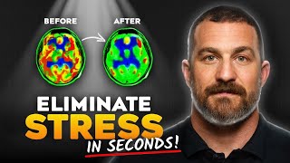 The Fastest Way to Reduce Stress In Real Time