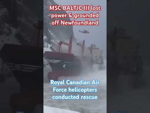 MSC Baltic III grounded off the West coast of Newfoundland after losing power on Feb 15, 2025.