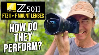 Nikon Z50II + FTZII + F Mount Lenses TEST | Any Good?