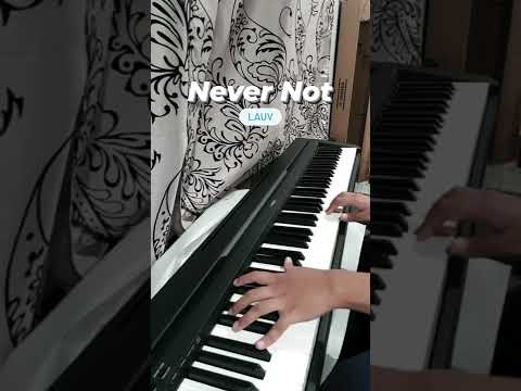 Never Not by @lauvsongs  #shorts #LAUV #lauvsongs #pianoshorts #nevernot #lauvcover