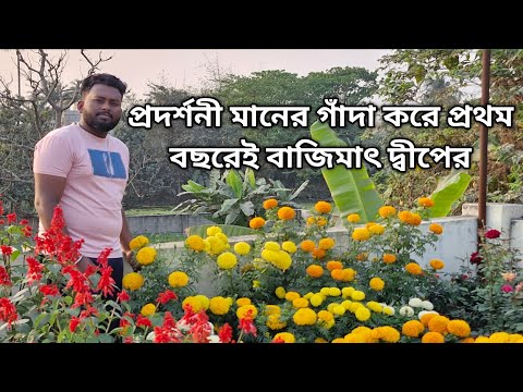 প্রদর্শনী মানের গাঁদা করে প্রথম বছরেই বাজিমাৎ দ্বীপের! How to care for Marigold flower! #গাঁদাফুল