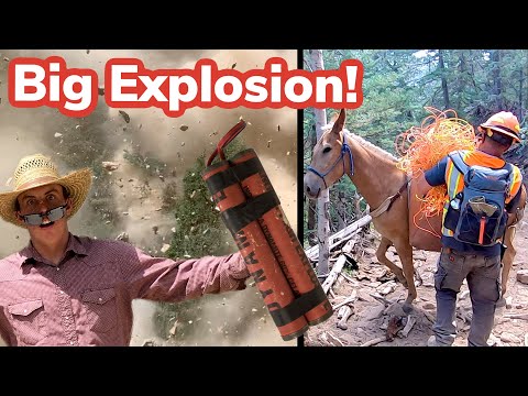 Mules Packing EXPLOSIVES!! Vlog #26