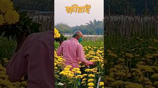 khirai 2025 valley of flower 🌼 #khirai #shorts #viralshort #youtubeshorts