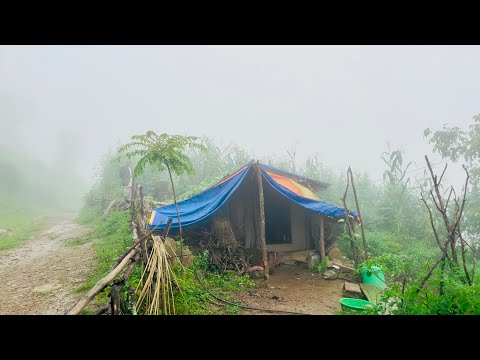 A Very Beautiful Rainy Day in Our Nepali Mountain Village | cooking And eating in Rainy Time