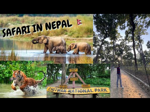 Chitwan National Park🇳🇵|| Jungle Safari 🐅 || Beauty of Chitwan 🍃