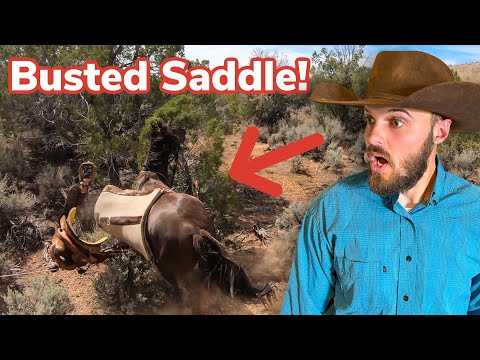 I Lost an EXPENSIVE Stallion! (Wild Chase Gone Wrong!)