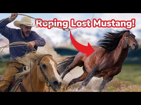 We Try to Catch a Wild Mustang! (Again)