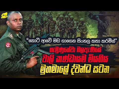 මඩ ගෑ කොටින් සිංහලෙන් කතා කරමින් අපේ චාලි කණ්ඩායම විනාශකලා | මුහමාලේ බේදවාචකය @wanesatv