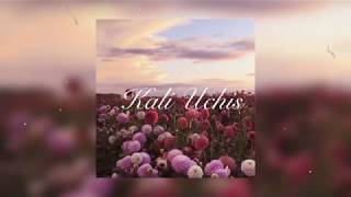 MELTING (LYRICS) - KALI UCHIS