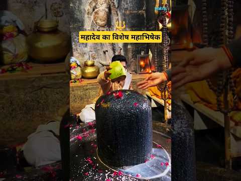 महाभिषेक #shorts #sawansomvaar #mahadev #rudrabhishek  #shortvideo