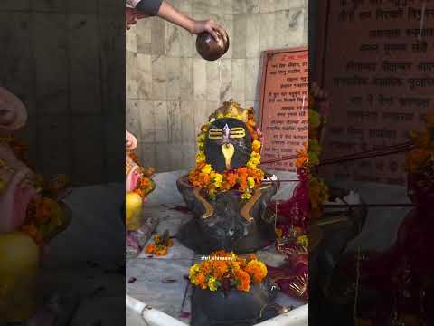 mahadev#har har mahadev#mahakalstatus #bholebabakijai