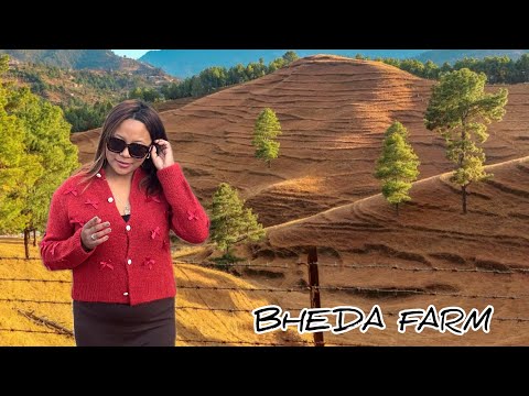 BHEDA FARM MARKHU DAM Vlog Please Visit Near Kathmandu