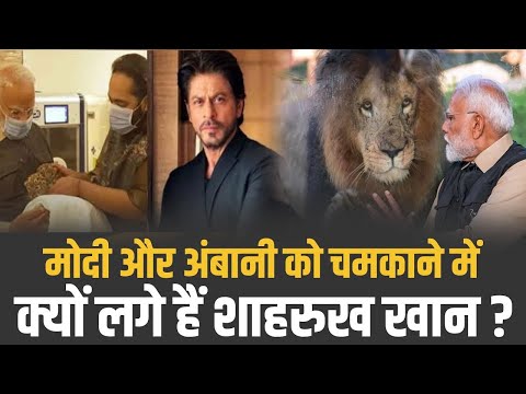 Big Bollywood Controversy | Twitter पर सामने आई Bollywood की असलियत