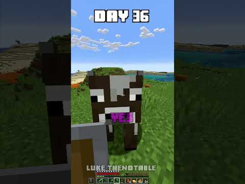 100 Days - [Minecraft Shorts] - Day 36 #minecraft #100days