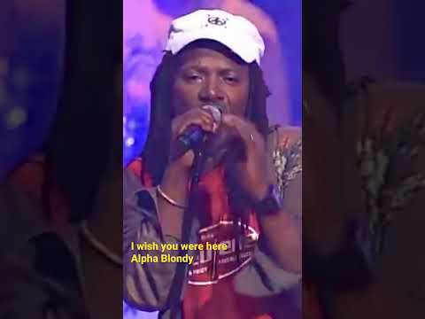 I wish you were here - Alpha Blondy🎬 https://youtu.be/iD4gnoo36Ic #alphablondy #shorts #reggae