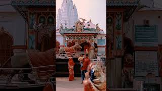 maa samaleswari temple, sambalpur