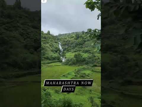 maharashtra monsoon vibe ... on way to bhimashankar.  #travel #monsoon #maharashtra