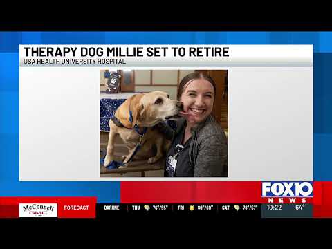 USA Health University Hospital's therapy dog Millie set to retire