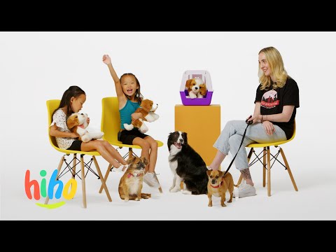 Kids Meet Rescue Dogs! | HiHo | HiHo Kids