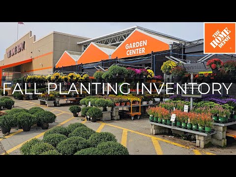 Home Depot Inventory Mid September 2024. Fall Planting! Perennials, Shrubs & Spring Bulbs