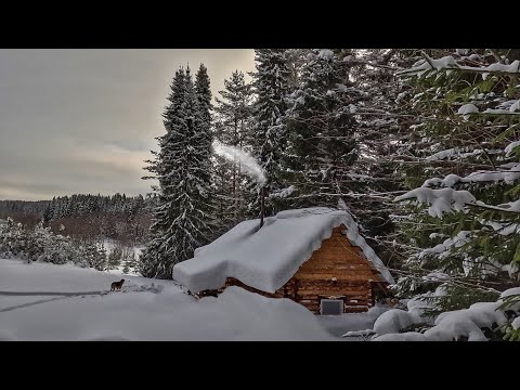 No one has visited this hut all winter! Snow covered all the walls up to the roof! Outdoor cooking