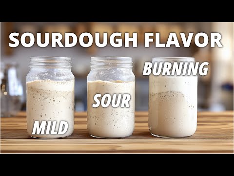 Mastering Your Sourdough Starter - A deep dive into Flavor and Acidity