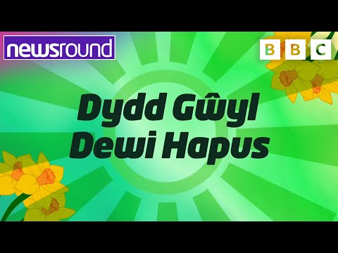 Everything you need to know about St David's Day | Newsround