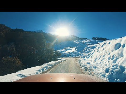 Snow drive in Chopta - Uttarakhand