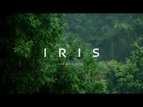 Iris | Goo Goo Dolls | Lyrical Video