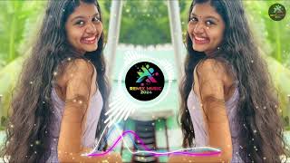 animal abrar’s entry jamal kudu jamal jamaloo persian song bobby deo remix music 2024 #jamalkudu