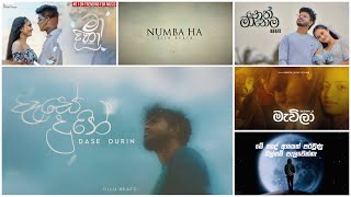 DILU Beats New Song Collection 2025 | Best Sinhala Song Collection | Sinhala New Songs |SL HIT MUSIC