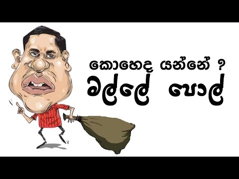 යන්නේ කොහෙද? මල්ලේ පොල්