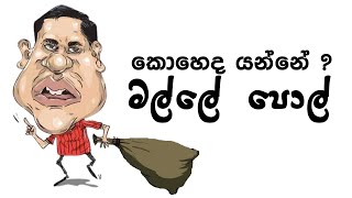 යන්නේ කොහෙද? මල්ලේ පොල්