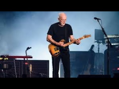 David Gilmour : Comfortably Numb (Live) - Repr. Dino I.